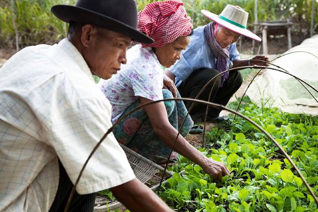 Microfinance in Cambodia