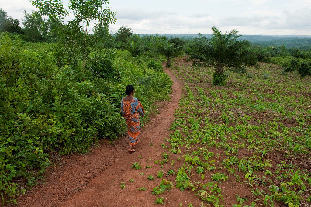 Progress in Benin