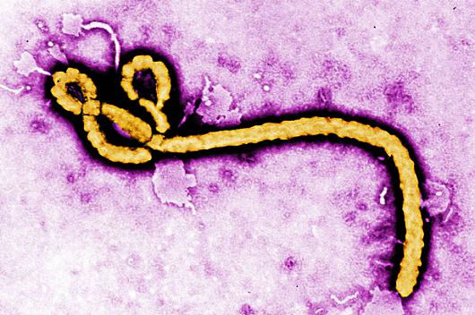 Remember-Ebola