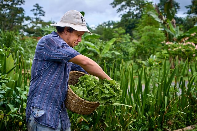 Renewable Energy in Costa Rica