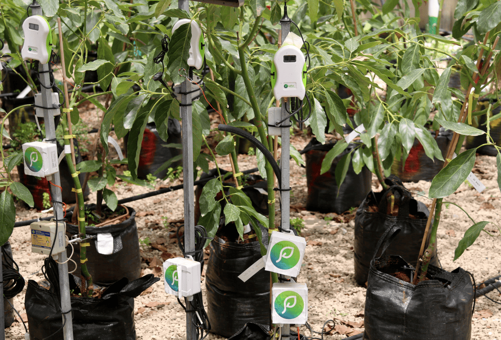 Smart Agriculture Farming