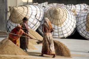Fighting Poverty in Bangladesh