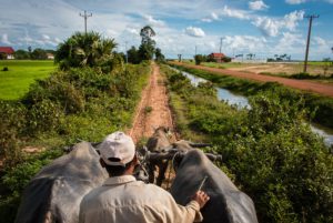 Solar Cold Storage in Cambodia
