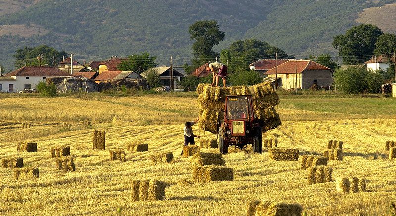Sustainable Agriculture in Rural North Macedonia