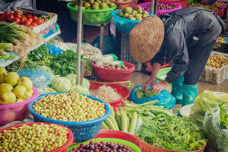 The Unexpected Connection Between Veganism and World Hunger