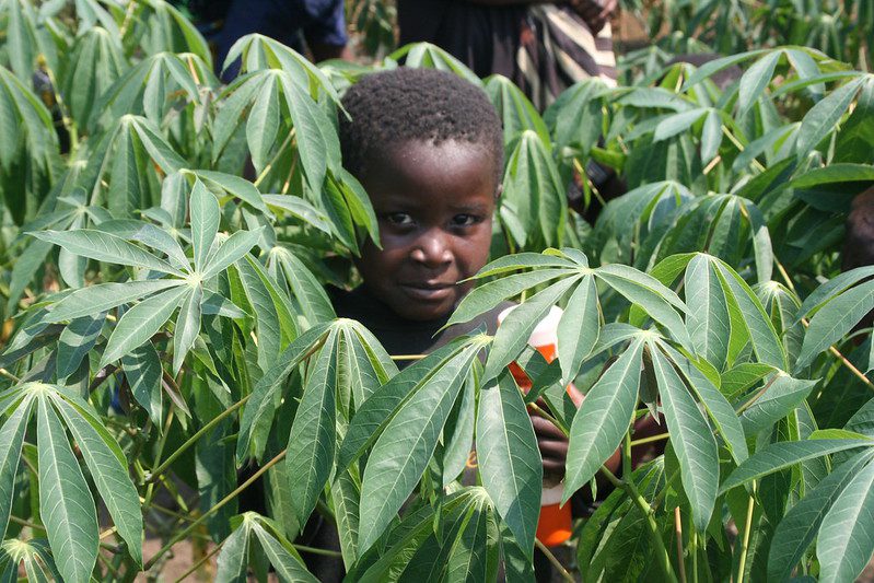 USAID programs in Kenya