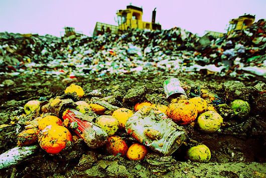 Wasting-Food-in-America