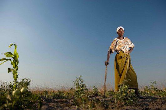Addressing Women's Rights