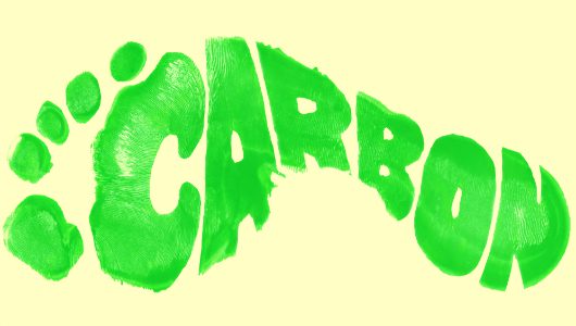 Expansion of Carbon Pricing Promises to Alleviate Poverty