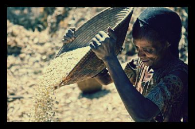 ending_global_hunger