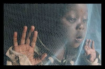 malaria_net