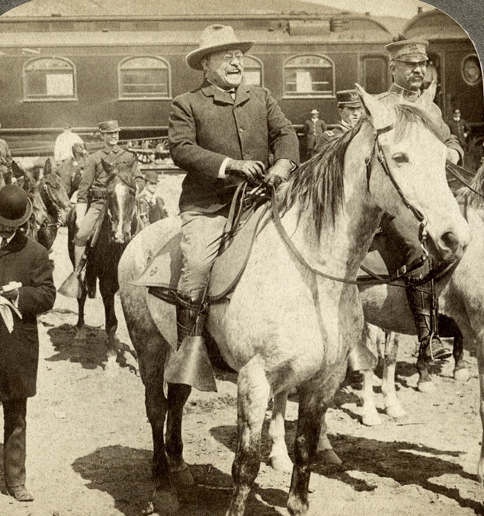 roosevelt Quotes from World Leaders on Human Rights