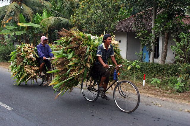 transportation impacts poverty